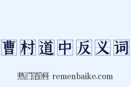 曹村道中反义词是什么意思的图片